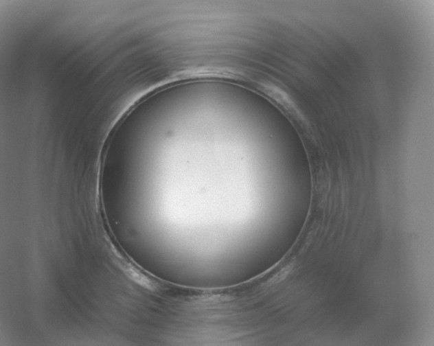 X0000054451228200508121902