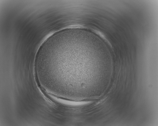 X0000054451229200508121902