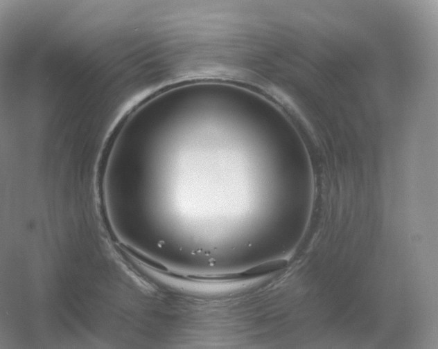 X0000054451230200508121902