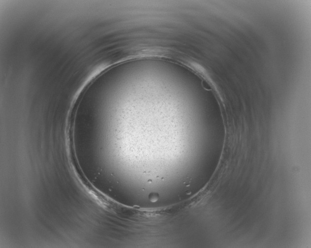 X0000054451235200508121902