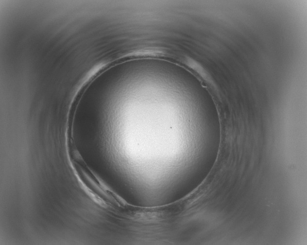 X0000054451237200508121902