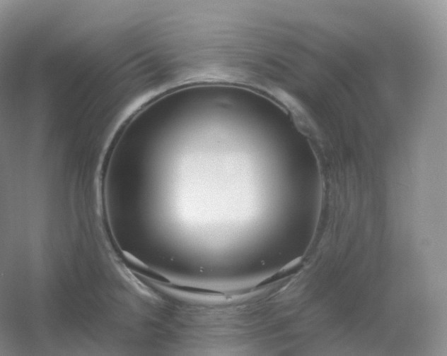 X0000054451238200508121902