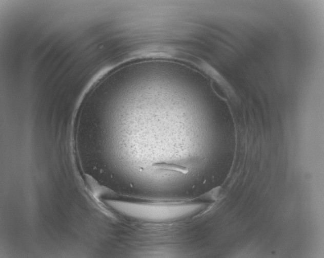 X0000054451240200508121902