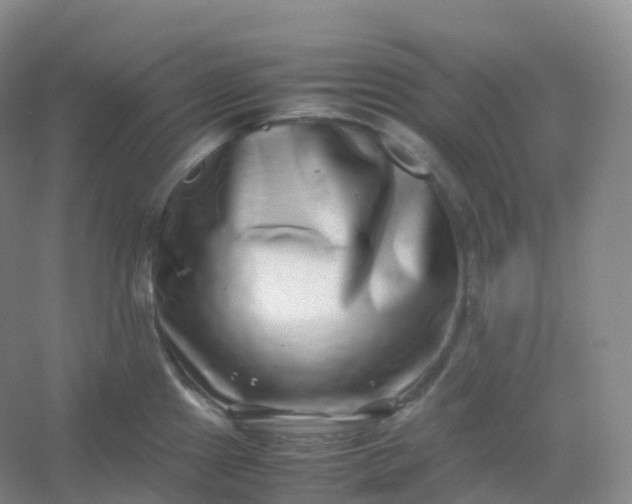 X0000054451241200508121902