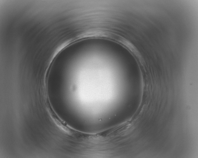 X0000054451242200508121902