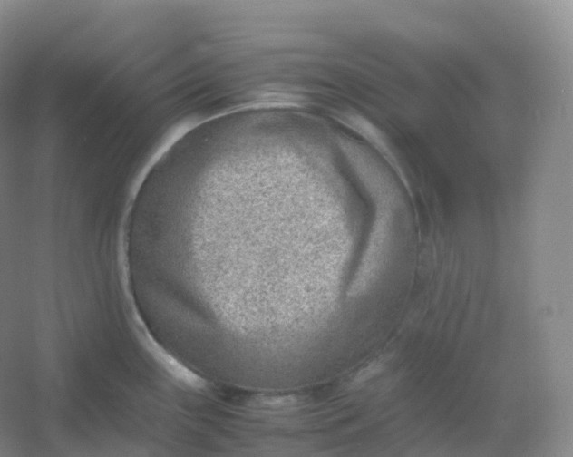 X0000054451243200508121902