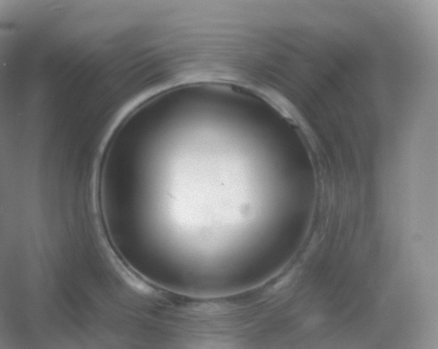 X0000054451246200508121902