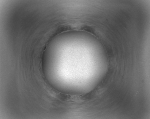 X0000054451249200508121902