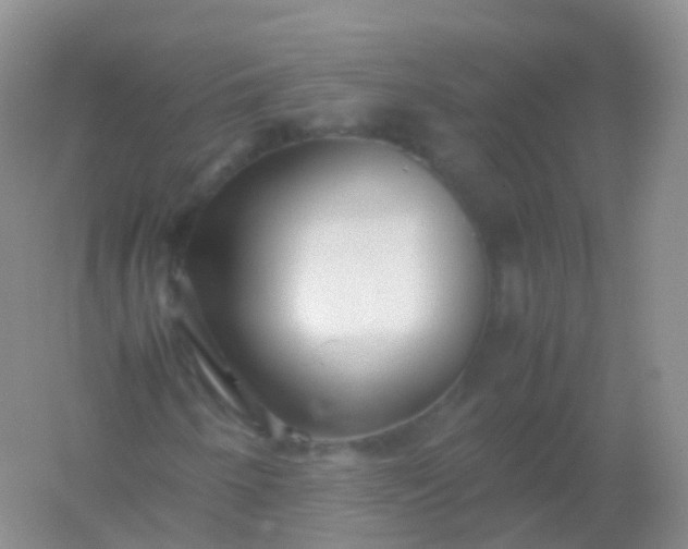 X0000054451250200508121902