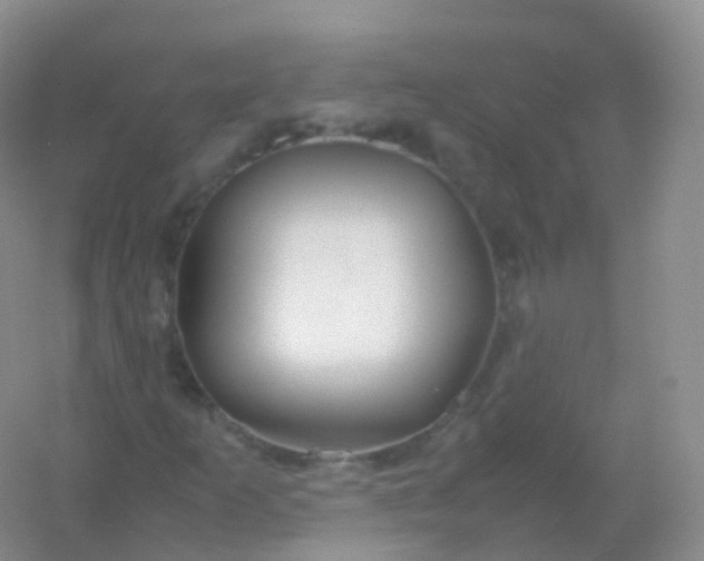 X0000054451253200508121902