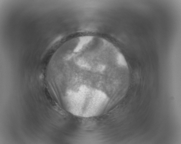 X0000054451254200508121901