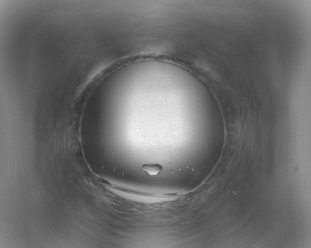 X0000054451256200508121901