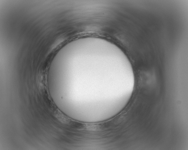X0000054451258200508121901