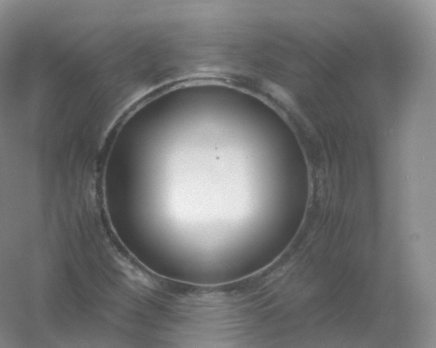 X0000054451260200508121901