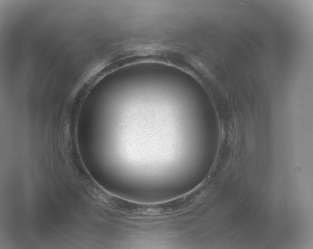 X0000054451261200508121901