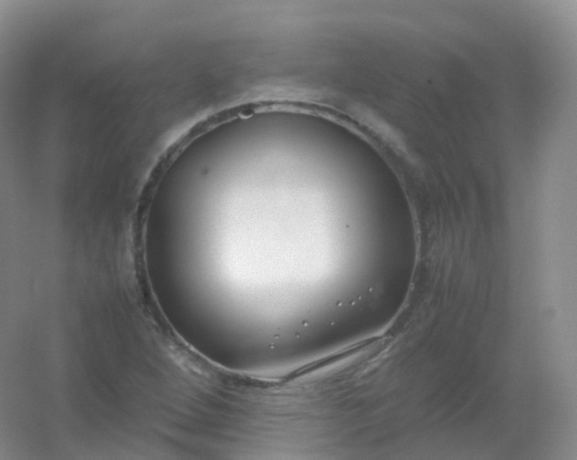 X0000054451264200508121901