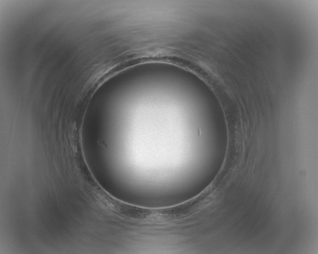 X0000054451265200508121901