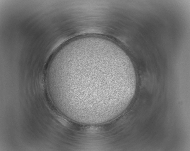 X0000054451266200508121901
