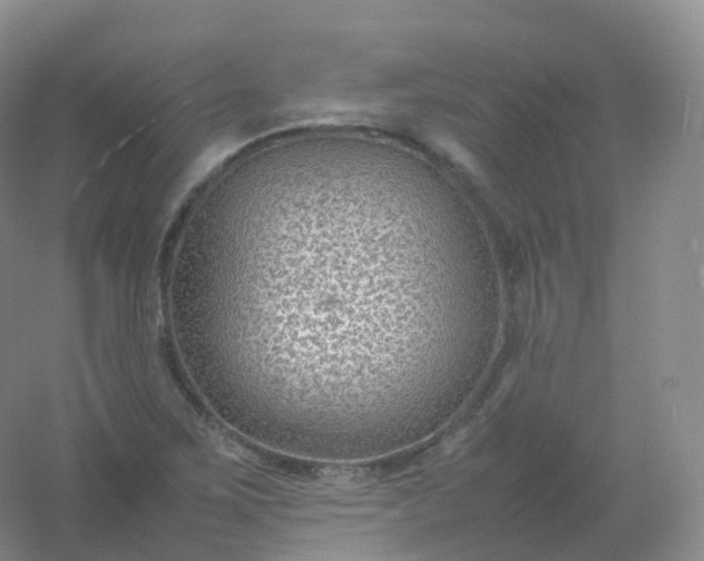 X0000054451267200508121901