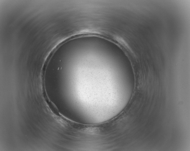 X0000054451268200508121901