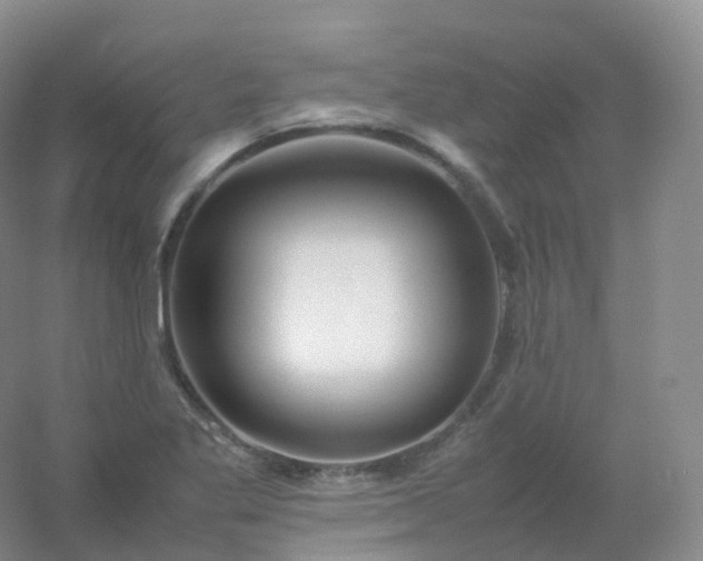 X0000054451269200508121901