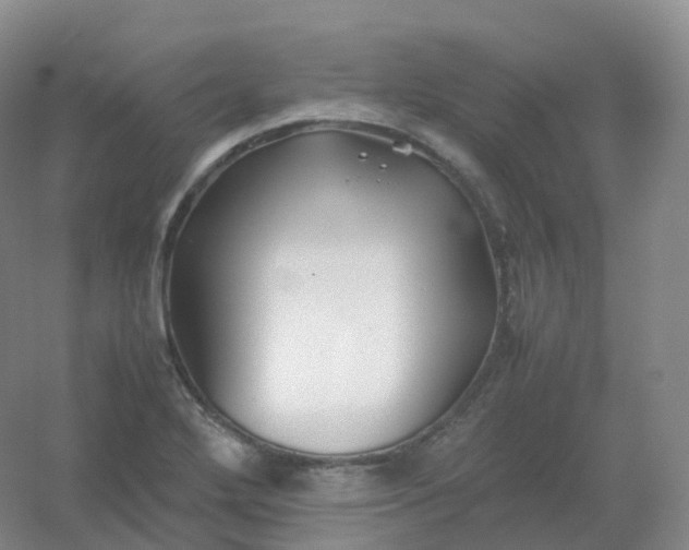 X0000054451272200508121901