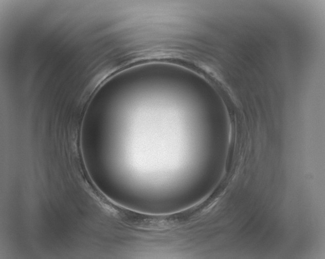 X0000054451273200508121901