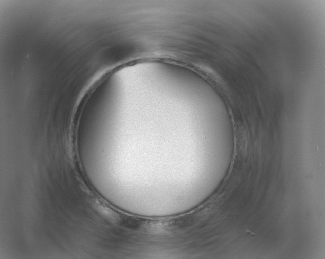 X0000054451278200508121901