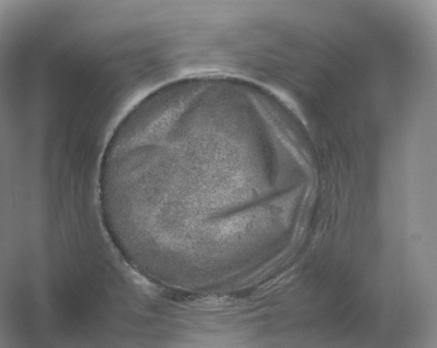 X0000054451279200508121901