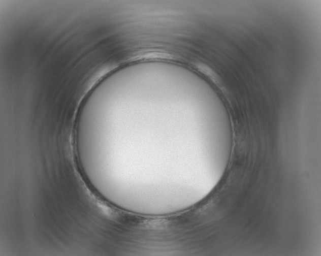 X0000054451282200508121901