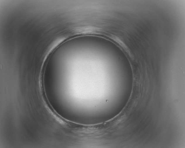 X0000054451285200508121901