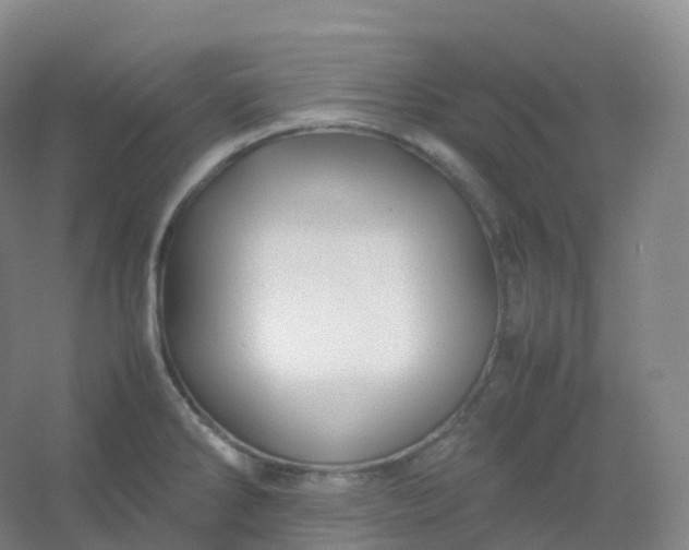 X0000054451286200508121901