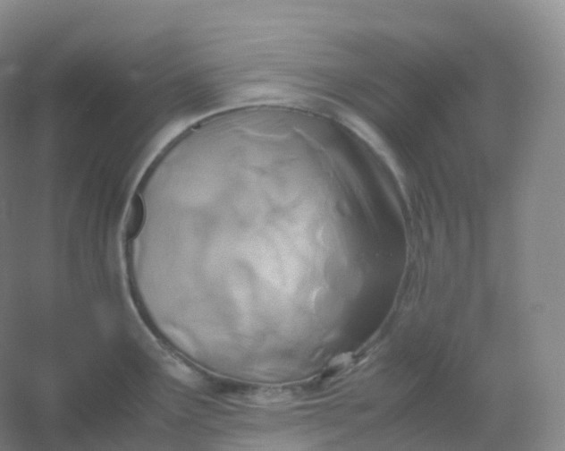 X0000054451291200508121901