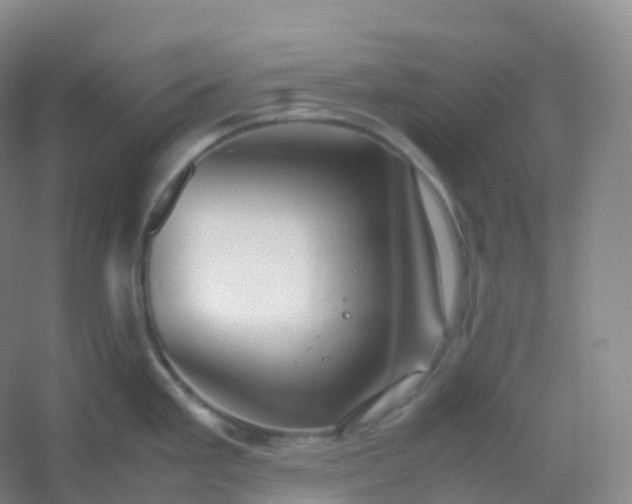 X0000054451293200508121901