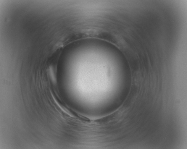 X0000054451298200508121900