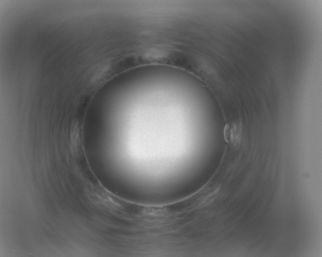X0000054451299200508121900