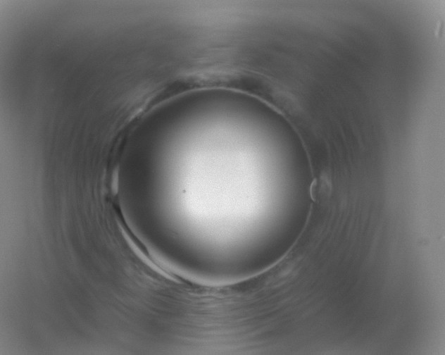 X0000054451300200508121900