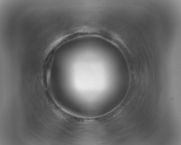 X0000054451304200508121900