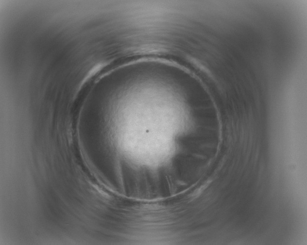 X0000054451306200508121900