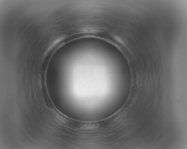 X0000054451307200508121900