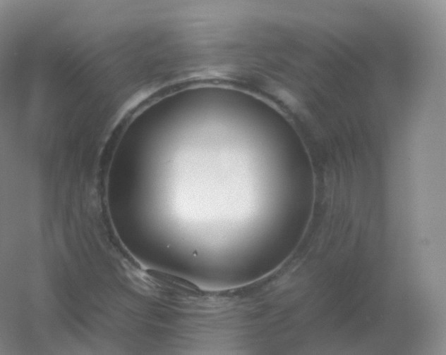 X0000054451308200508121900