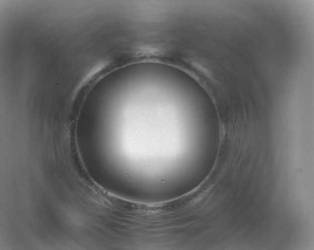 X0000054451309200508121900