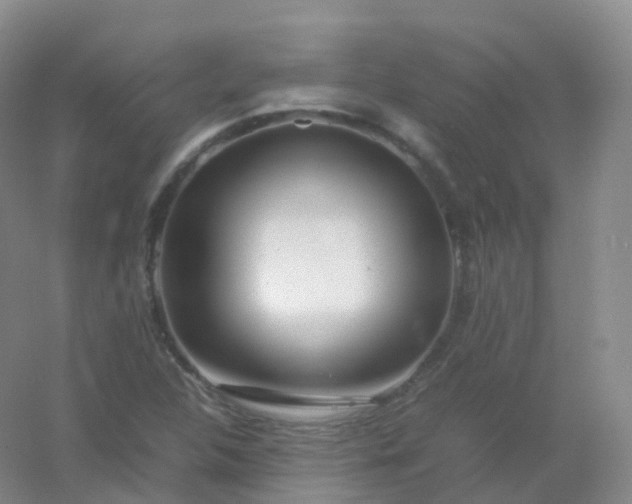 X0000054451312200508121900