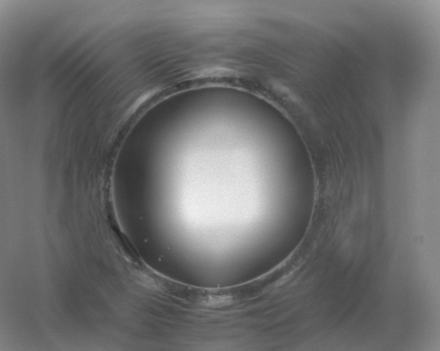 X0000054451313200508121900
