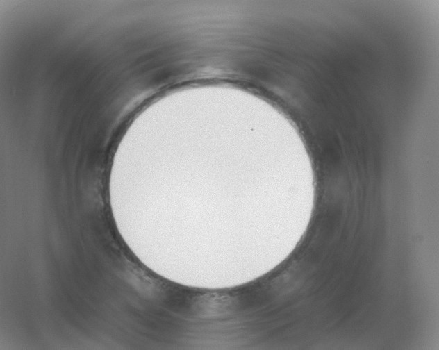X0000054451314200508121900