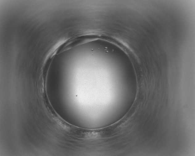 X0000054451317200508121900