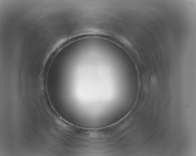 X0000054451318200508121900