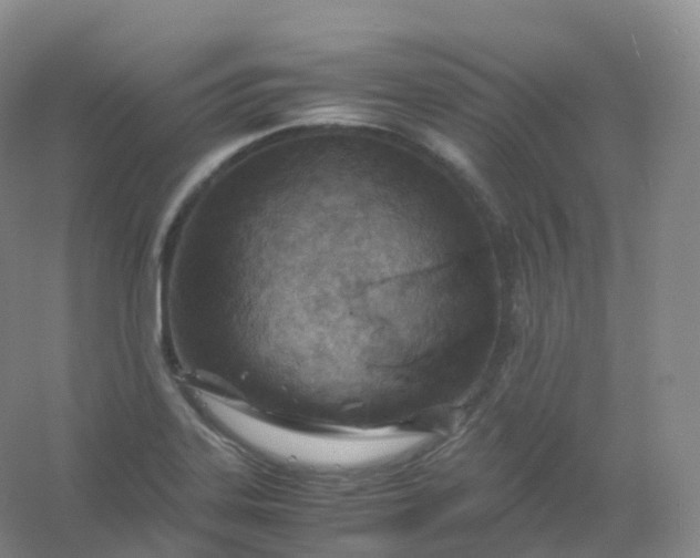X0000054451323200508121900
