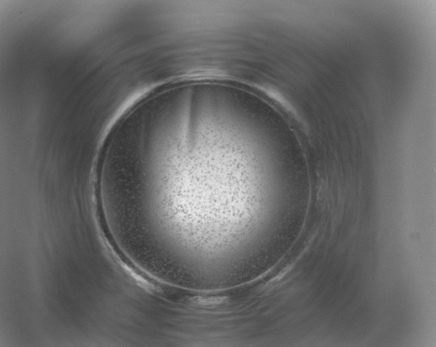 X0000054451325200508121900