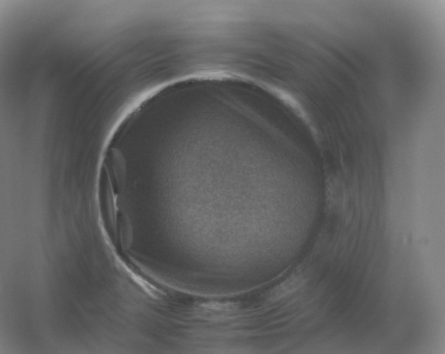 X0000054451327200508121900